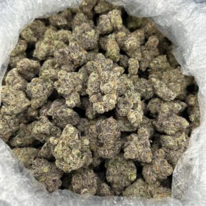 Gummy Bear Madness ZUP#4240