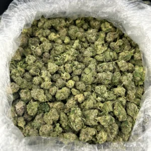 Blue Candy Gusher Smalls ZUP#4254