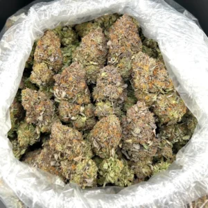 Platinum Trapstar ZUP#4250