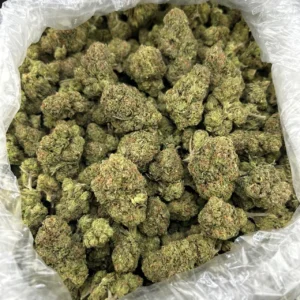 Red Hot Gummiez ZUP#4301