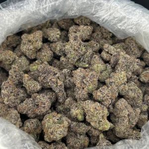 Obama Runtz ZUP#4290